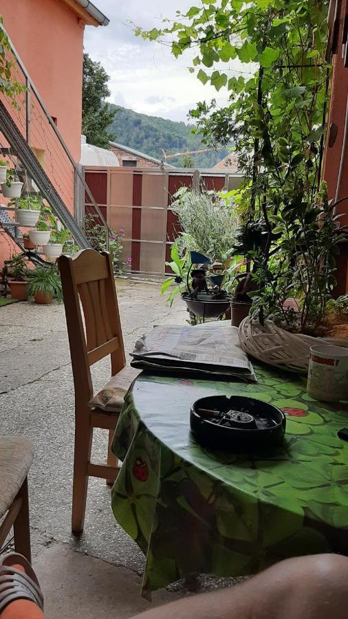 Ferienwohnung Pension im Glück Thale Exterior foto