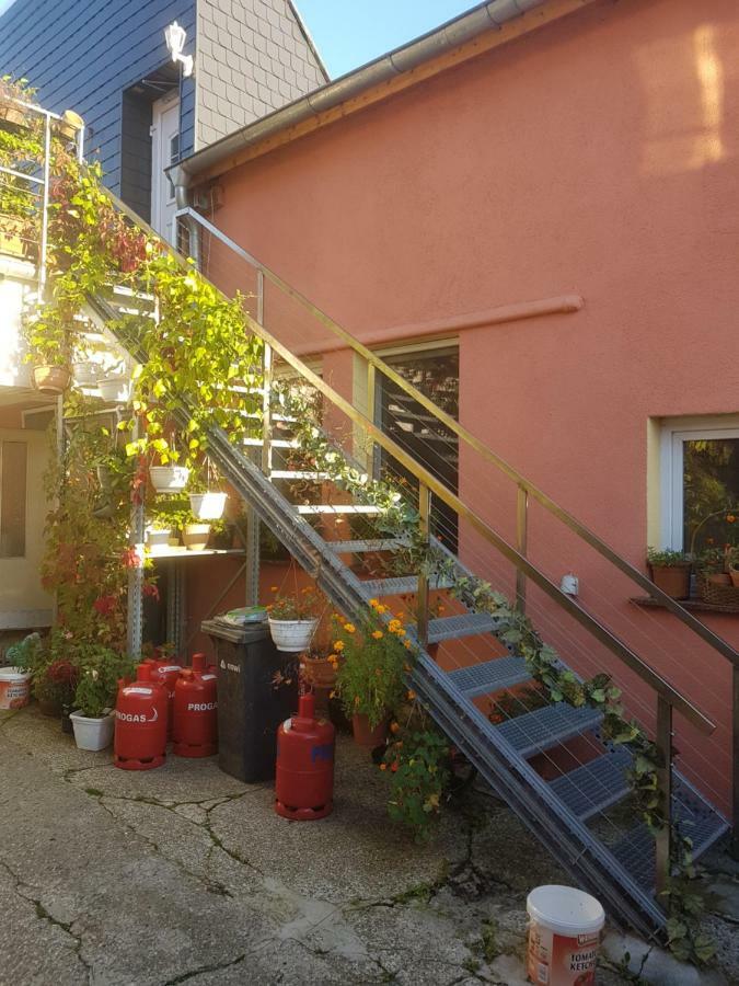 Ferienwohnung Pension im Glück Thale Exterior foto